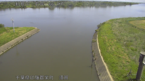 tonsu2026051310_image