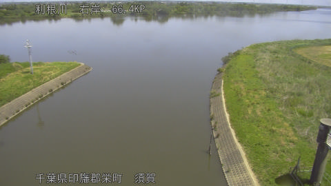 tonsu2026051311_image