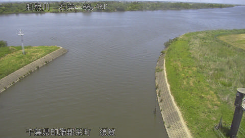 tonsu2026051312_image
