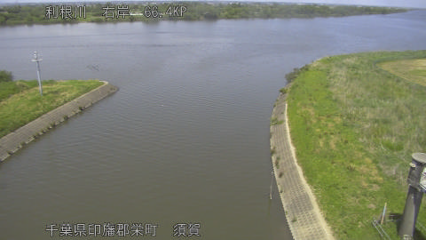 tonsu2026051313_image