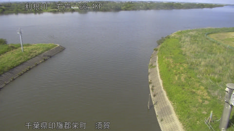 tonsu2026051315_image