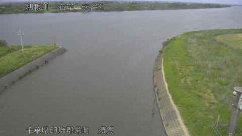 tonsu2026051317_image
