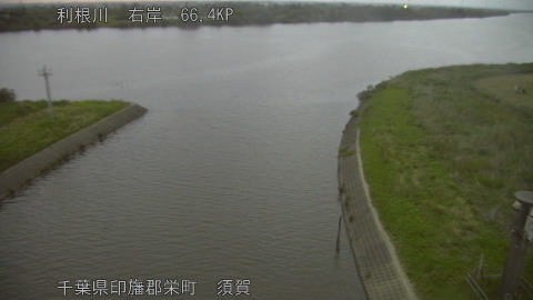 tonsu2026051319_image