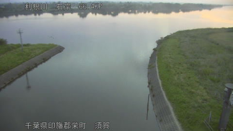tonsu2026051405_image