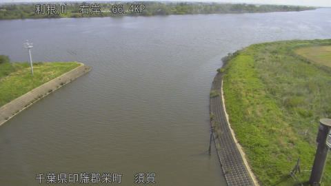 tonsu2026051409_image
