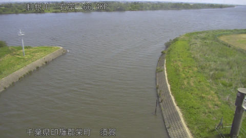 tonsu2026051410_image