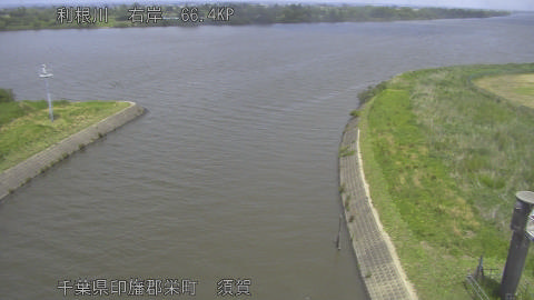 tonsu2026051412_image