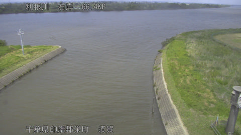 tonsu2026051413_image