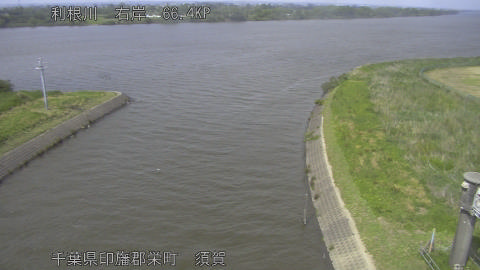 tonsu2026051414_image