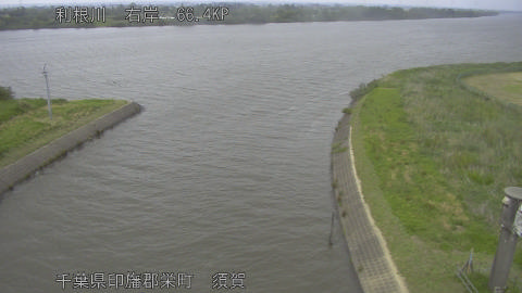 tonsu2026051416_image