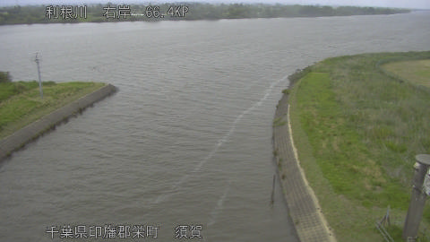 tonsu2026051417_image