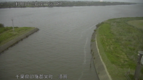 tonsu2026051419_image