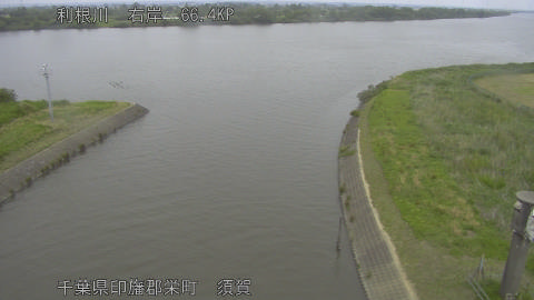 tonsu2026051512_image
