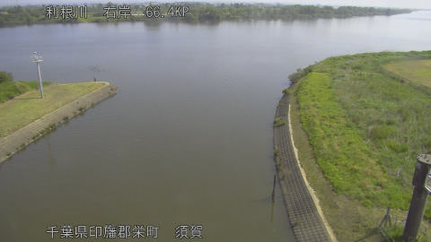 tonsu2026051609_image
