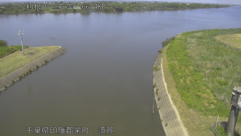 tonsu2026051613_image