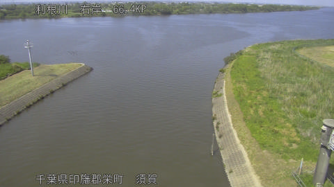 tonsu2026051614_image