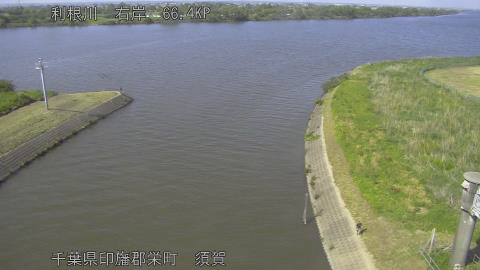 tonsu2026051615_image