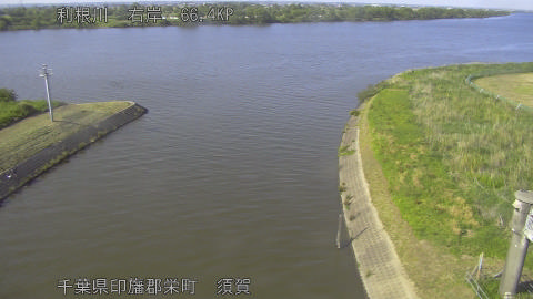 tonsu2026051616_image