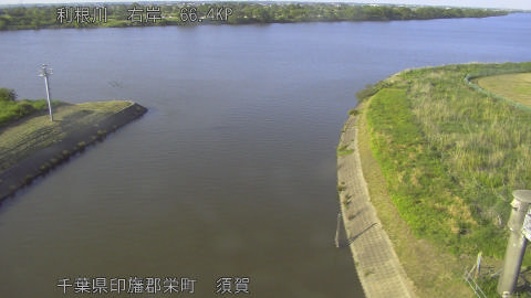 tonsu2026051617_image