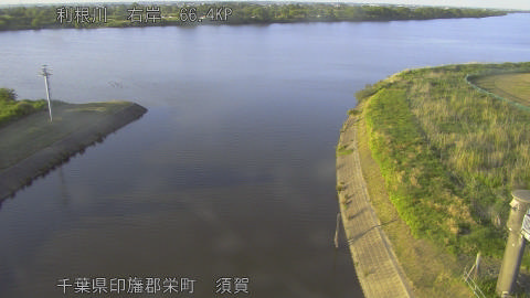 tonsu2026051618_image