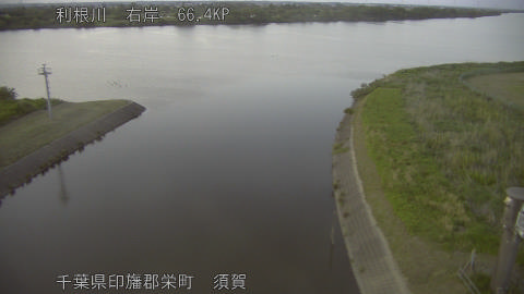 tonsu2026051619_image