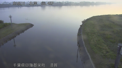 tonsu2026051705_image