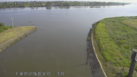 tonsu2026051708_image