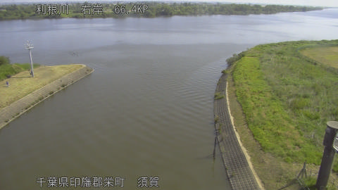 tonsu2026051709_image
