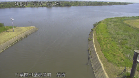 tonsu2026051710_image