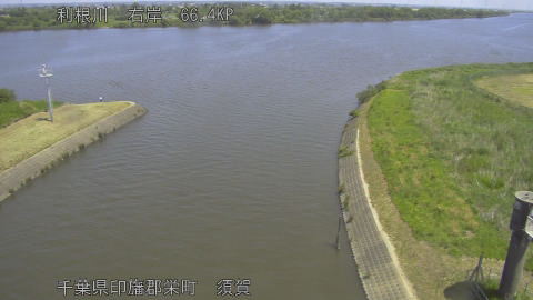 tonsu2026051711_image