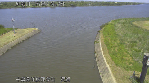 tonsu2026051712_image