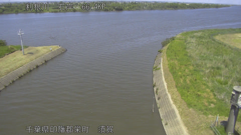 tonsu2026051713_image