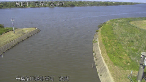tonsu2026051714_image