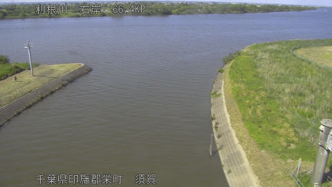 tonsu2026051715_image