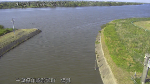 tonsu2026051716_image