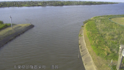 tonsu2026051717_image