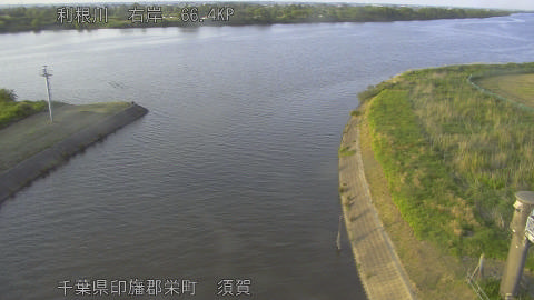tonsu2026051718_image