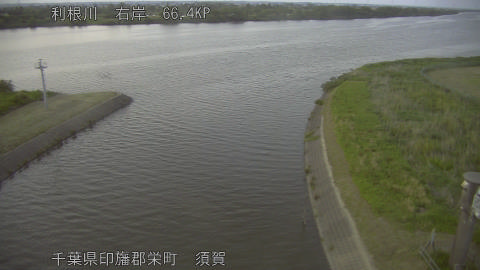 tonsu2026051719_image