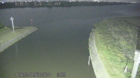 tonsu2026051800_image