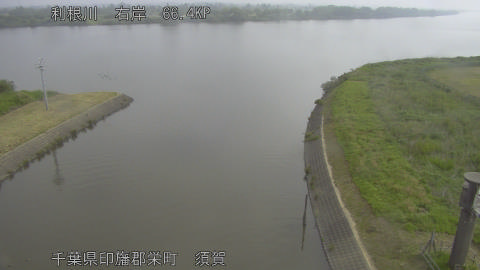 tonsu2026051808_image