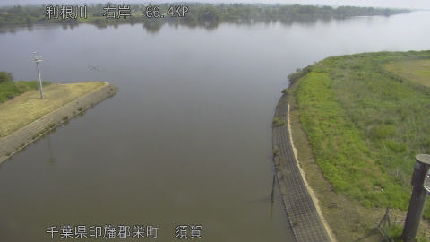 tonsu2026051809_image
