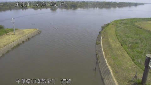 tonsu2026051810_image