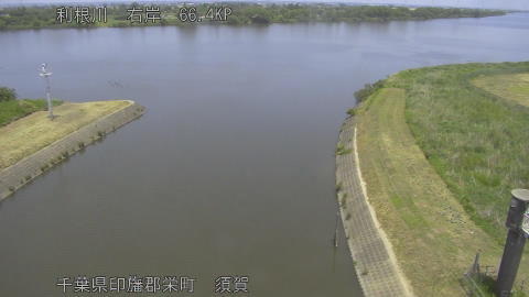 tonsu2026051812_image