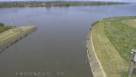 tonsu2026051814_image