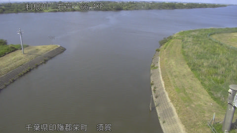 tonsu2026051815_image