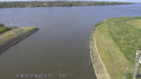 tonsu2026051816_image