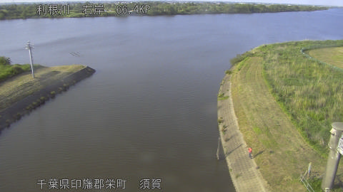 tonsu2026051817_image