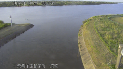 tonsu2026051818_image