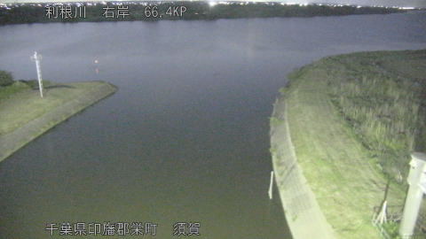 tonsu2026051820_image