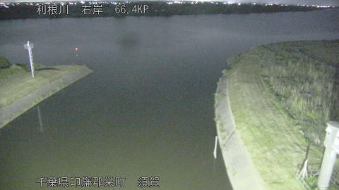 tonsu2026051900_image